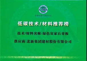 龍牌綠色宜家 引領家裝環保新風尚的專業技術推廣